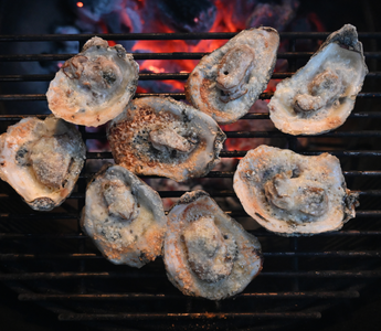 Grilled Parmesan Oysters: A Lowcountry Tradition