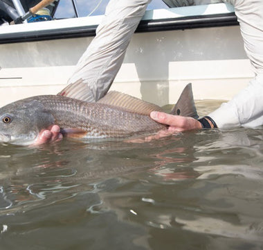 holding a Redfish