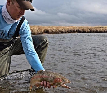 Rainbow Trout Fly Fishing Tips & Gear